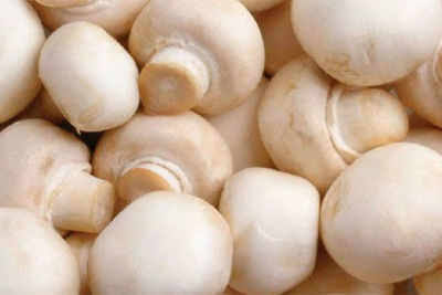 Fresh mushroom